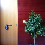 Апартаменты Precioso Apartamento Con Parking En Pleno Centro